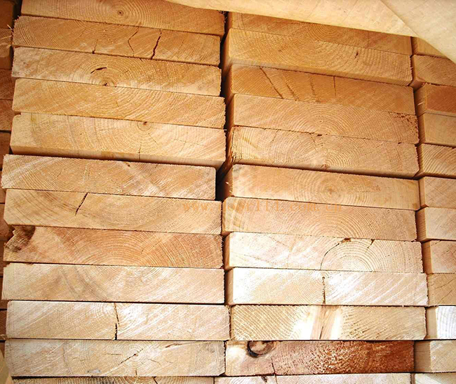 秀屿智利辐射松方木